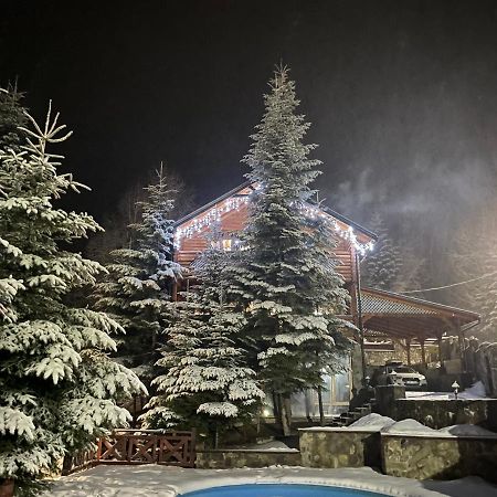 Vip Houses Карпати Мигово Buitenkant foto