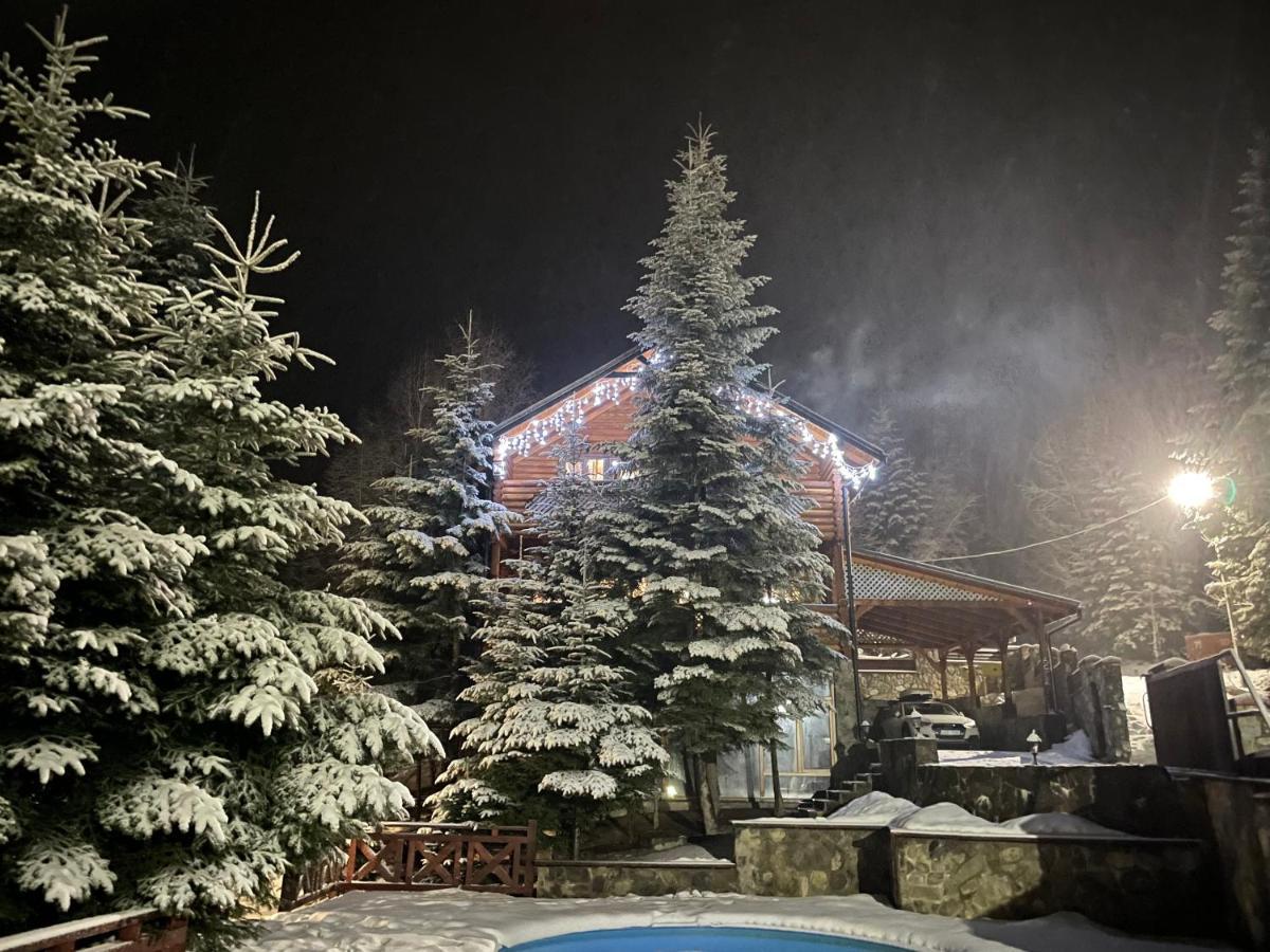 Vip Houses Карпати Мигово Buitenkant foto